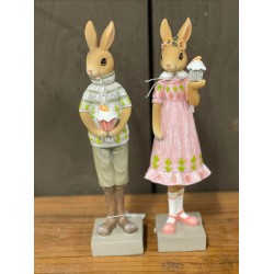 Couple de lapins jardiniers