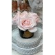 Bouquet de roses « Cote Noire »